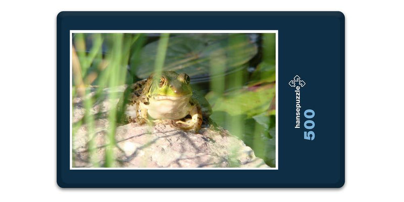 11904 Tierwelt - Frosch am See