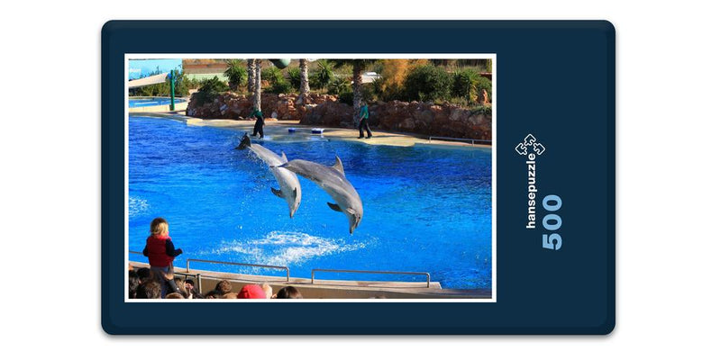 11652 Tierwelt - Delfin-Show