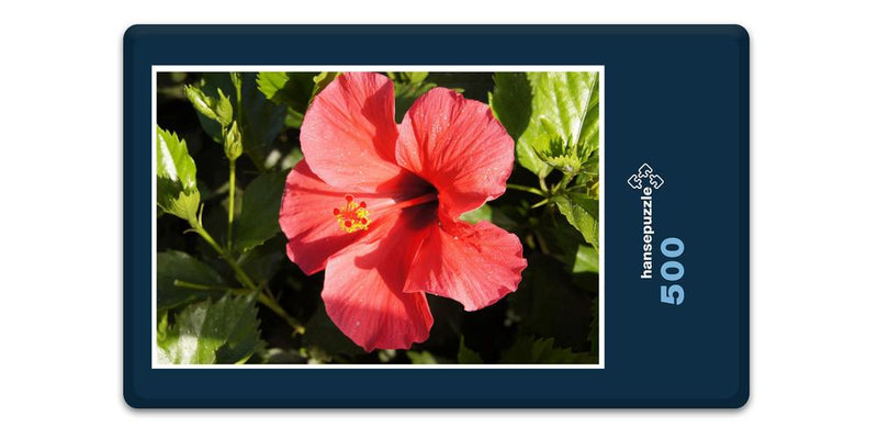 15229 Natur - Hibiskus