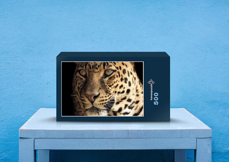 77695 Natur - Leopard