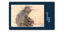 15937 Tierwelt - Affen-Familie