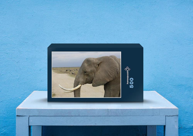76005 Tierwelt - Elefant
