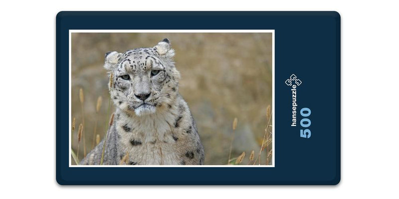 16841 Tierwelt - Schnee-Leopard