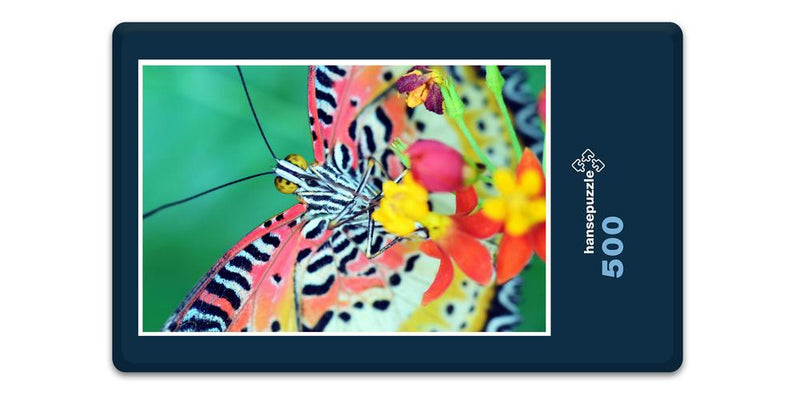 13693 Natur - Schmetterling