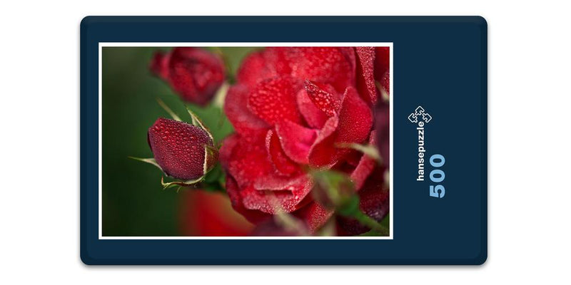 16329 Natur - Rote Rose