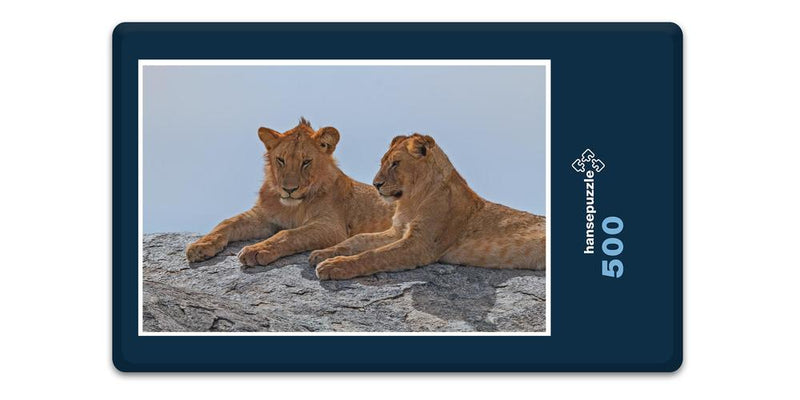 18753 Tierwelt - Zwei Löwen