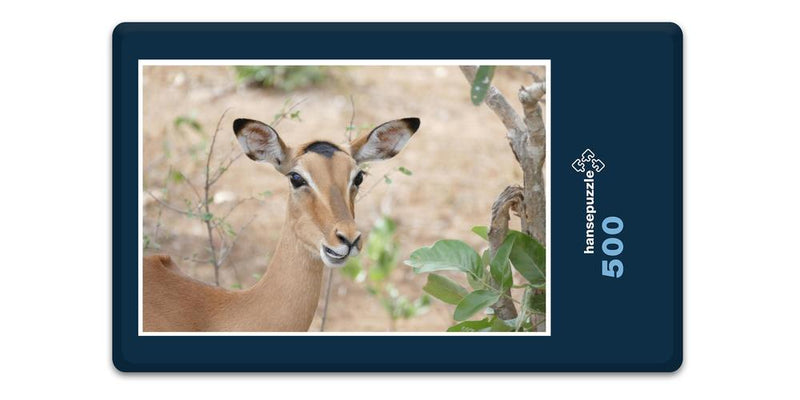 10663 Natur - Impala