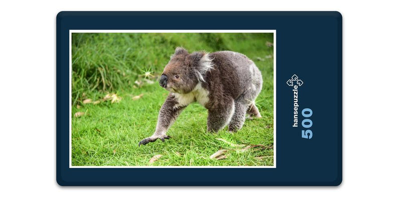 16309 Tierwelt - Koala-Bär