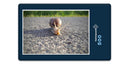 15506 Sport - Schnecke im Weg