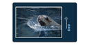 18798 Tierwelt - Seehund im Wasser