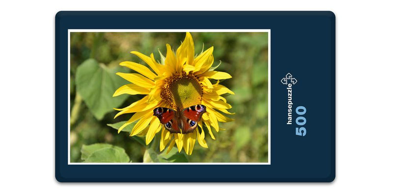 16509 Tierwelt - Schmetterling