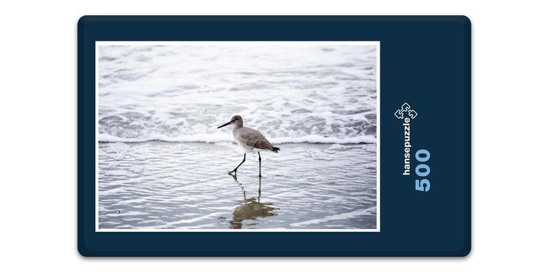 10615 Tierwelt - Vogel am Strand