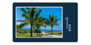 19607 Natur - Palmen am Strand