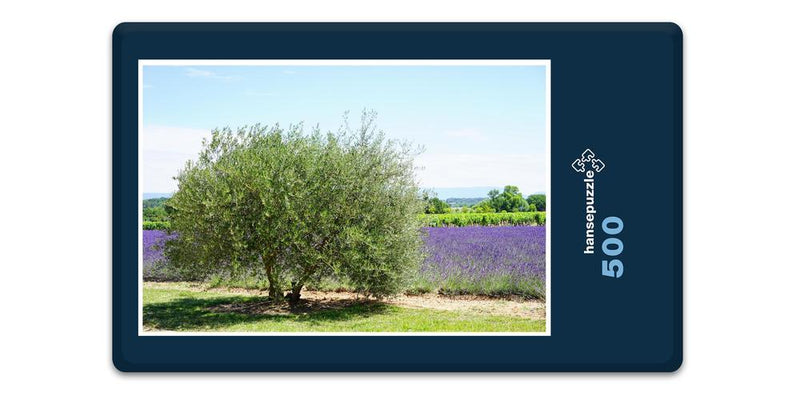 16413 Natur - Olivenbaum und Lavendel
