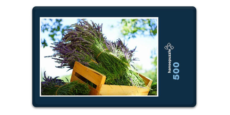 16401 Natur - Lavendel in Box