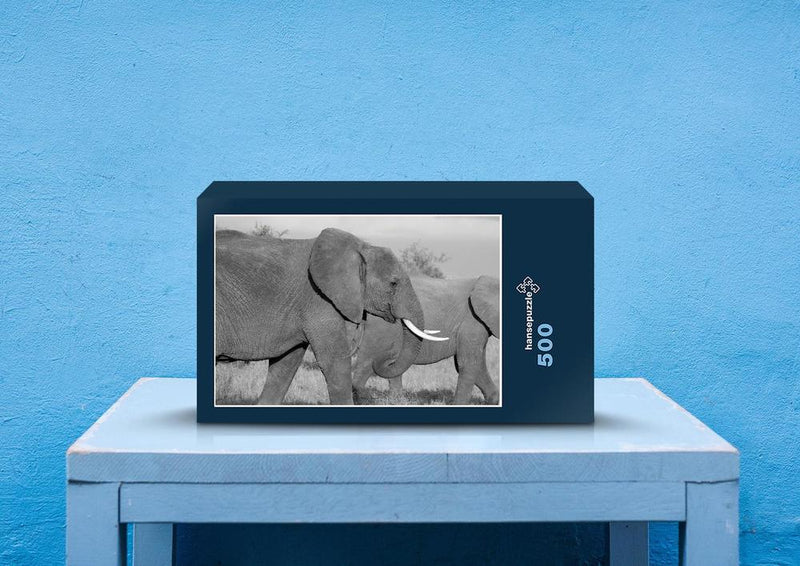 85706 Natur - Elefant