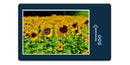 18665 Natur - Sonnenblume