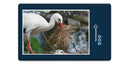 15420 Natur - Storch im Nest
