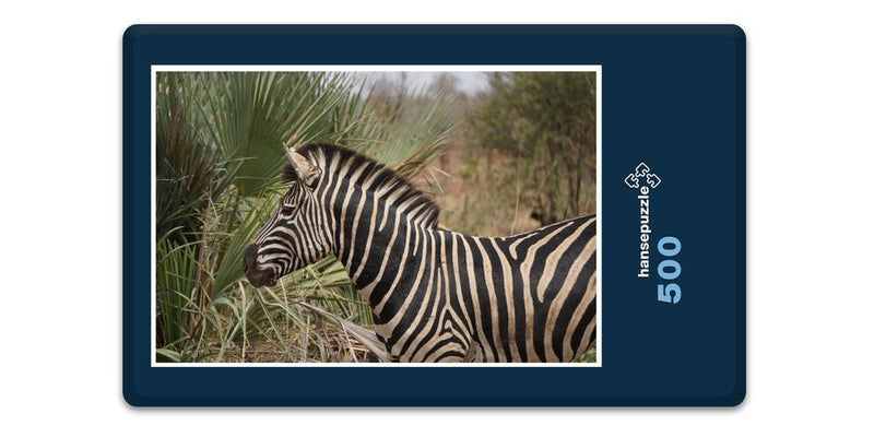 10394 Natur - Zebra