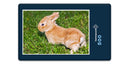 18808 Tierwelt - Kaninchen
