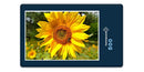 13489 Natur - Sonnenblume