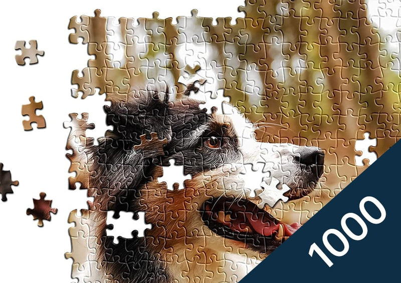 Puzzle with your own photo, 1000 pieces