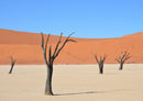 84394 Natur - Sossusvlei