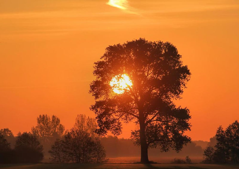 28008 Natur - Sonnenuntergang