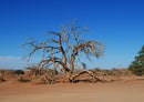 77023 Natur - Namibia