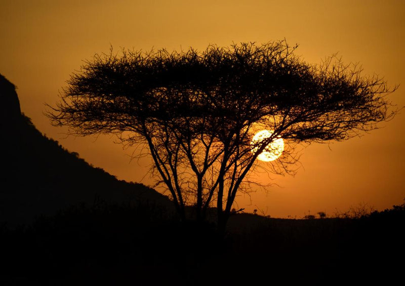 24362 Reisen - Sonnenuntergang