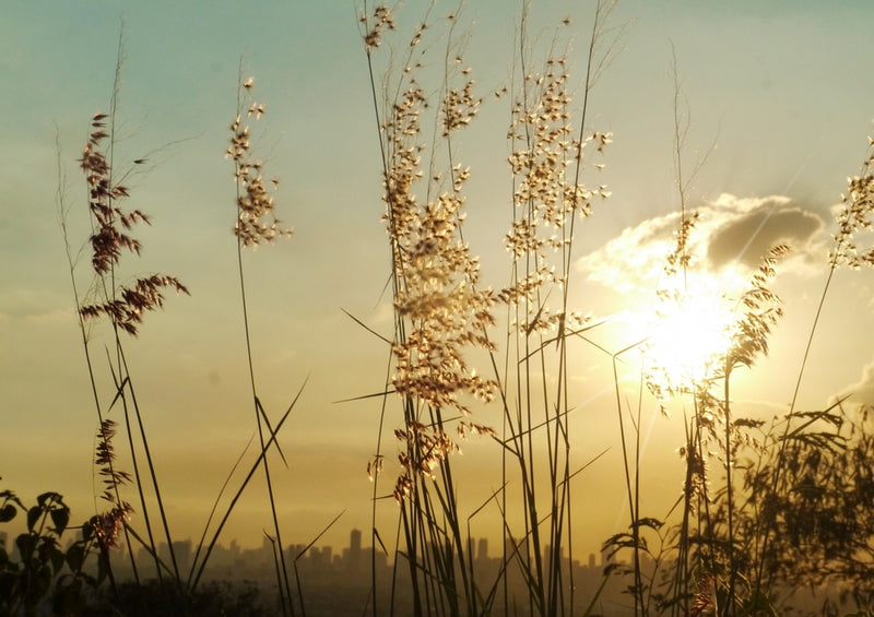 46384 Natur - Sonnenuntergang