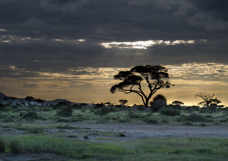 82992 Natur - Sonnenuntergang