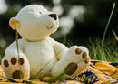 17752 Tierwelt - Teddy im Urlaub