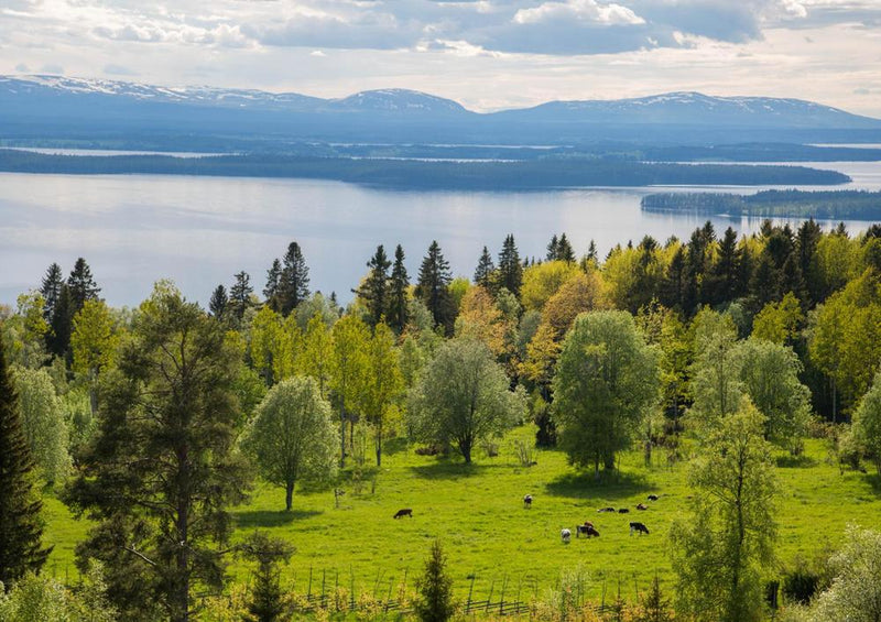 18409 Natur - Fjord