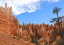 23423 Natur - Bryce Canyon