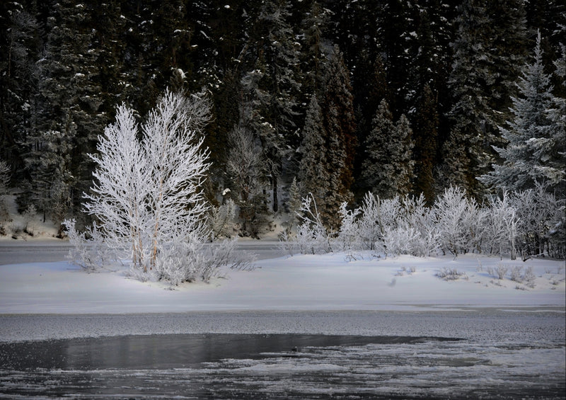 33990 Natur - Winterlandschaft