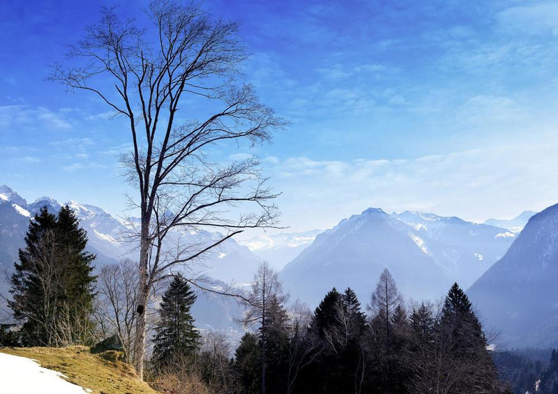 25499 Natur - Bergblick