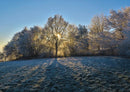 28304 Natur - Winter
