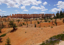 24549 Natur - Bryce Canyon