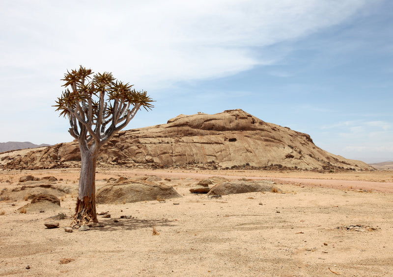 84190 Natur - Afrika