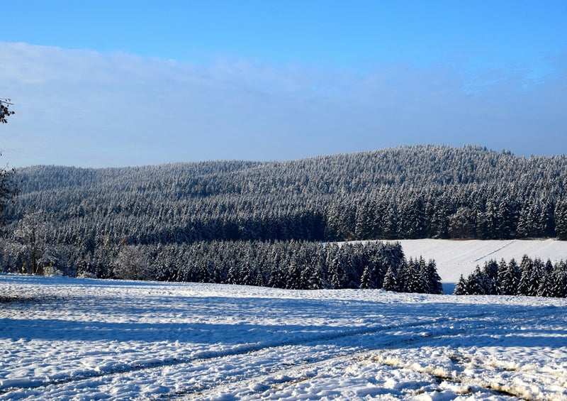 39400 Natur - Neuschnee