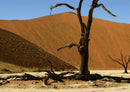 76847 Natur - Namibia