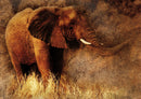 85681 Natur - Elefant