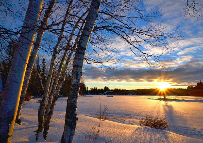 25395 Natur - Sonne im Schnee