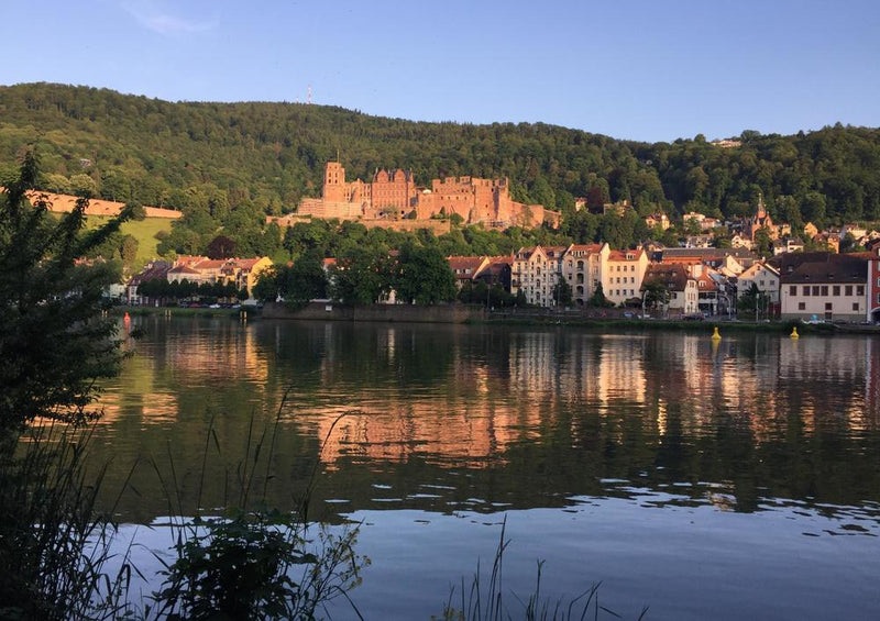 30742 Gebäude - Heidelberg