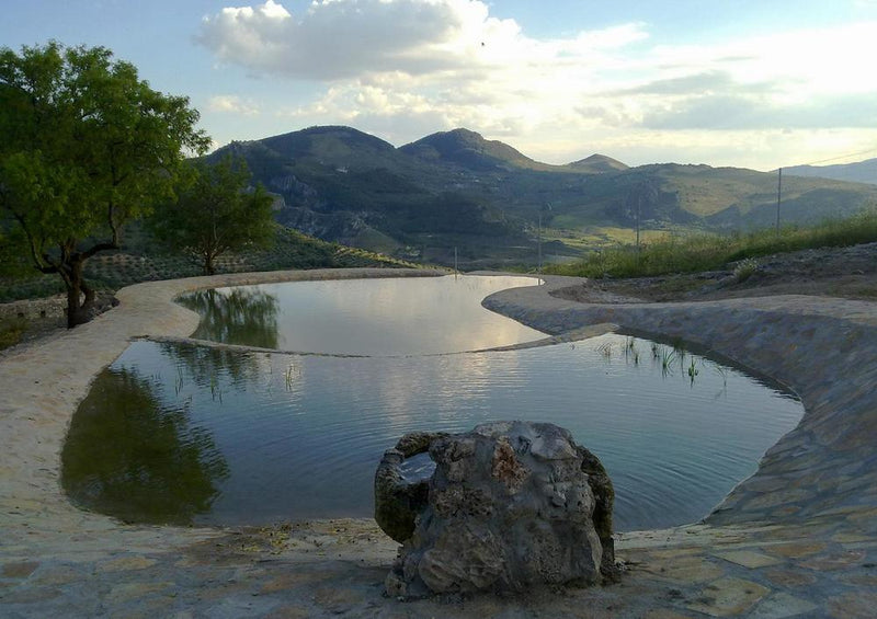 19382 Natur - Granada