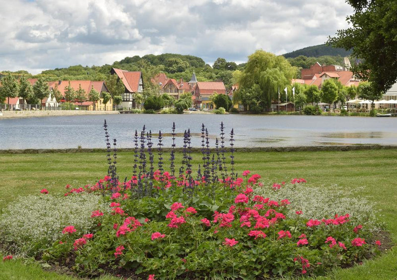 19241 Natur - Park-Anlage