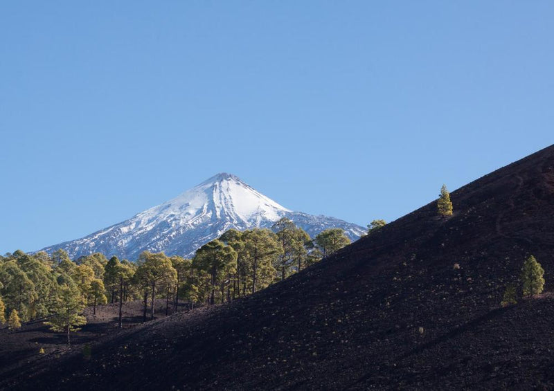 33399 Natur - Pico Del Teide