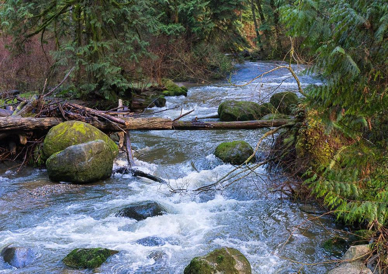 23510 Natur - Wildwasser