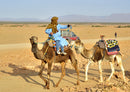 79396 Hintergründe - Kamelfahrt